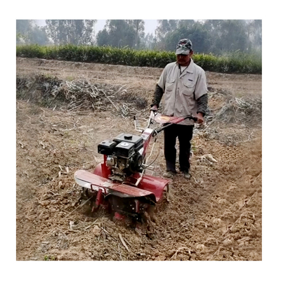 Largeur de labourage de 15 à 35 cm Cultivateur de verger Moteur essence et diesel Autopropulseur