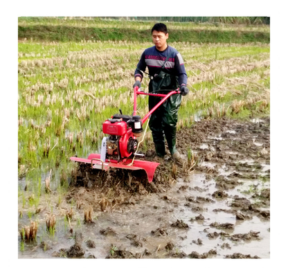 Largeur de labourage de 15 à 35 cm Cultivateur de verger Moteur essence et diesel Autopropulseur