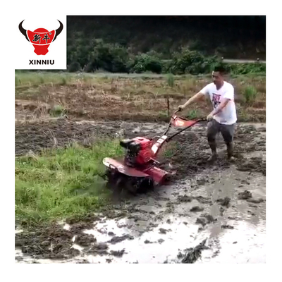 Tiller électrique agricole polyvalent à bande d'engrenage avec une largeur de terrassement de 15 à 35 cm et une traction intégrale