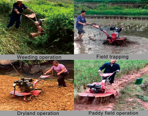 Cultiver avec un niveau de sécurité élevé 7HP Mini Power Tiller Rotary Tiller Machine Type