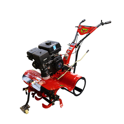 Moteur à essence à refroidissement par air vendable Mini Tiller pour l'agriculture multifonctionnelle