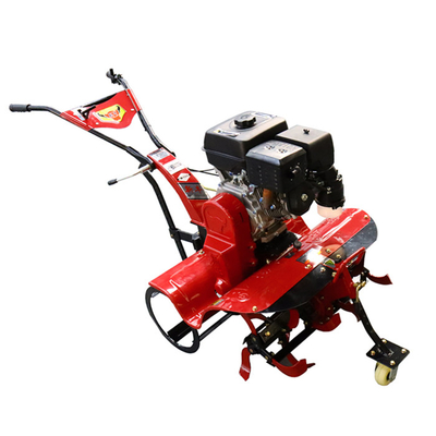 Moteur à essence à refroidissement par air vendable Mini Tiller pour l'agriculture multifonctionnelle