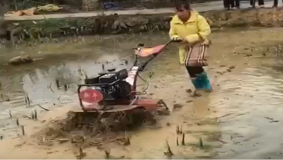 Mini-cultivateur rotatif à transmission d'engrenages hydrauliques et terrestres avec largeur de travail réglable