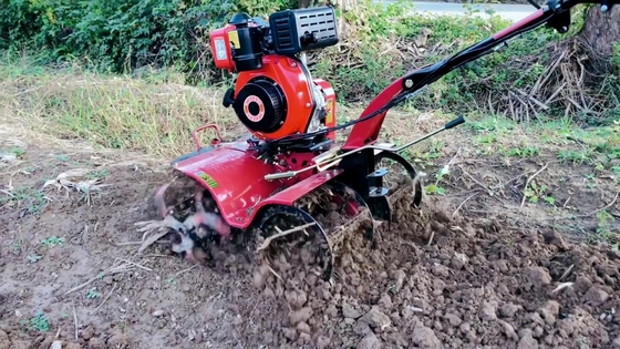 186F Moteur diesel Mini Power Tiller Cultivator pour équipement de machines agricoles