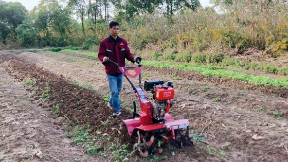 Puissant moteur diesel 186F à quatre roues motrices Mini Power Tiller Cultivator pour le marché