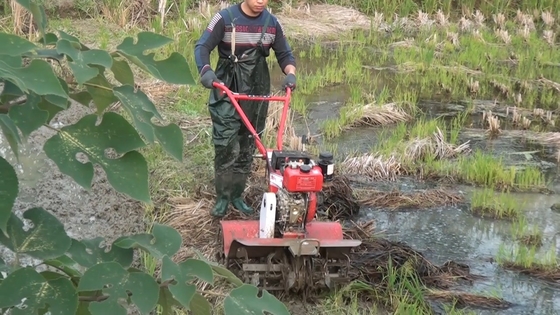 Largeur de travail réglable et largeur de terrassement Mini Tiller à quatre roues motrices
