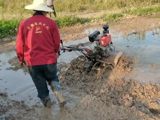 Équipement de machines agricoles modèle 186F 192F Mini-teler électrique lourd pour terrain dur