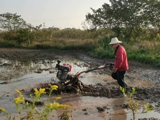Équipement de machines agricoles modèle 186F 192F Mini-teler électrique lourd pour terrain dur