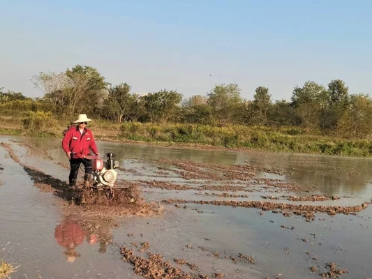 Équipement de machines agricoles modèle 186F 192F Mini-teler électrique lourd pour terrain dur