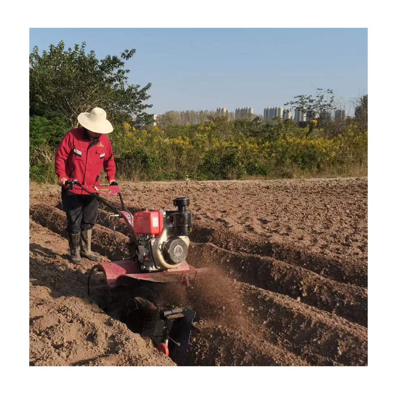 Équipements agricoles de type diesel pour une culture efficace des rizières et des terres sèches