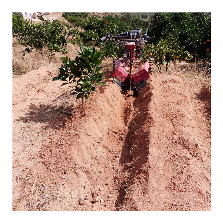 Moteur à essence Mini-Trencher pour jardin