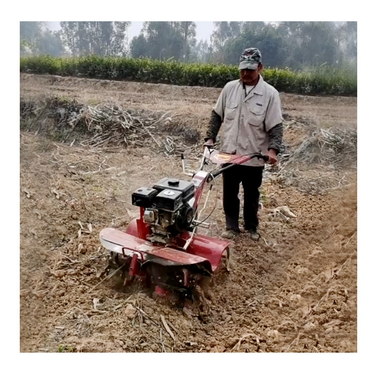 4KW Diesel Petit cultivateur Opération d'économie de main-d'œuvre pour les machines agricoles