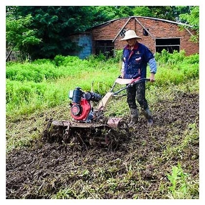 Niveau de sécurité élevé 4KW 173F Moteur diesel Mini Tiller Le meilleur choix pour les tâches d'éradication des mauvaises herbes
