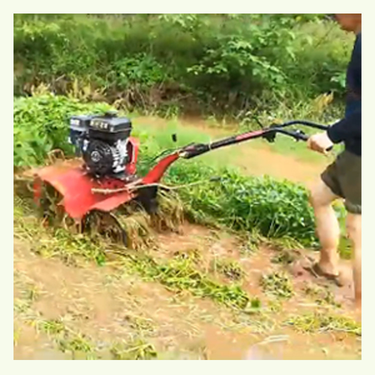 170F 7HP 4.05KW Transmission manuelle de vitesses Démarrer Mini Tiller de puissance avec un niveau de sécurité élevé