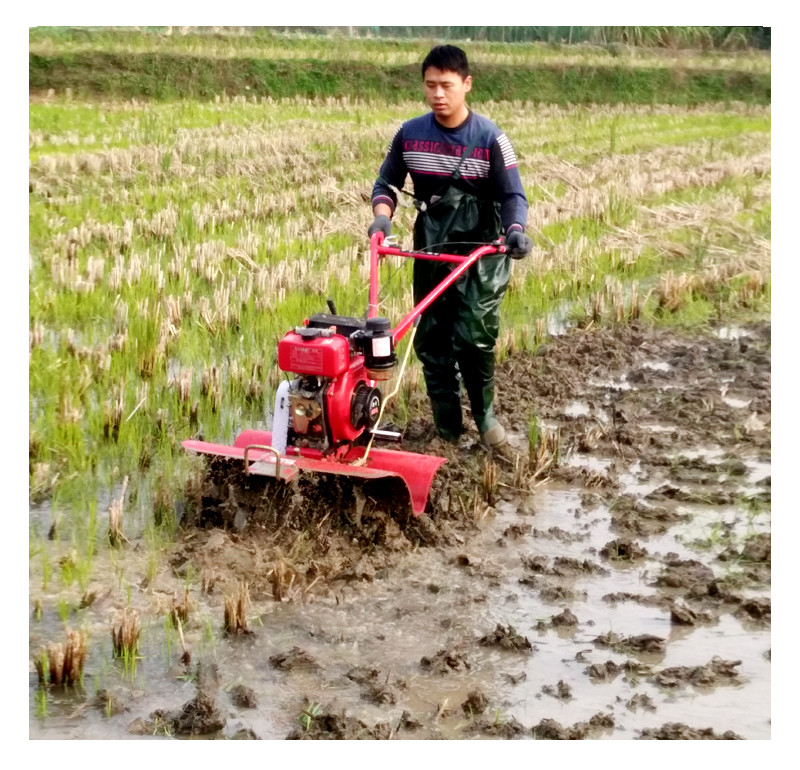 Niveau de sécurité élevé Machines agricoles Mini Tiller avec une largeur de travail de 45 à 85 cm